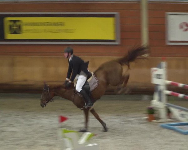 Reitturnier Mönchengladbach-Wickrath 2019