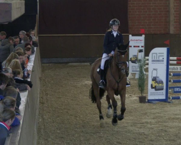 Reitturnier Hüllhorst 2019