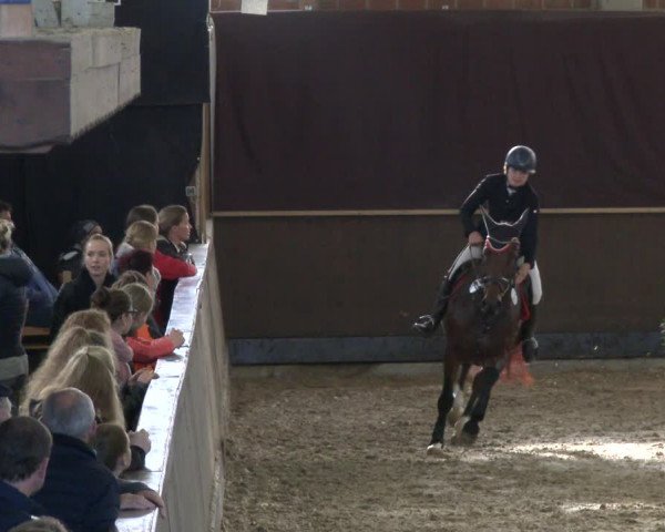 Reitturnier Hüllhorst 2019