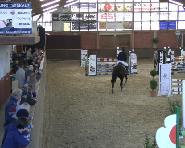 Reitturnier Hüllhorst 2019