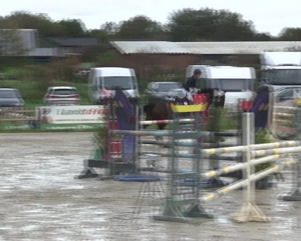 Reitturnier Schülp / Rendsburg 2019