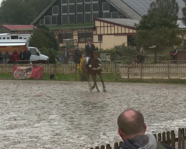 Reitturnier Schülp / Rendsburg 2019
