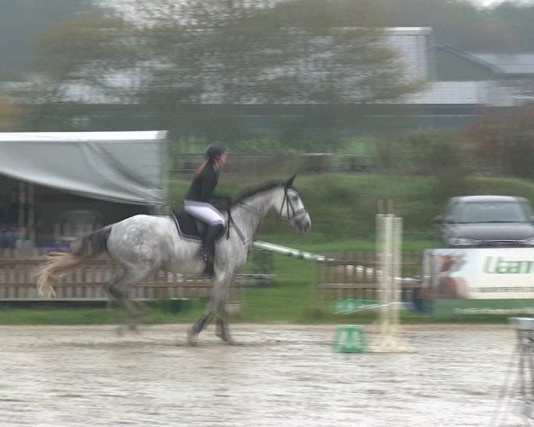 Reitturnier Schülp / Rendsburg 2019