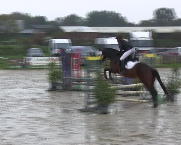 Reitturnier Schülp / Rendsburg 2019