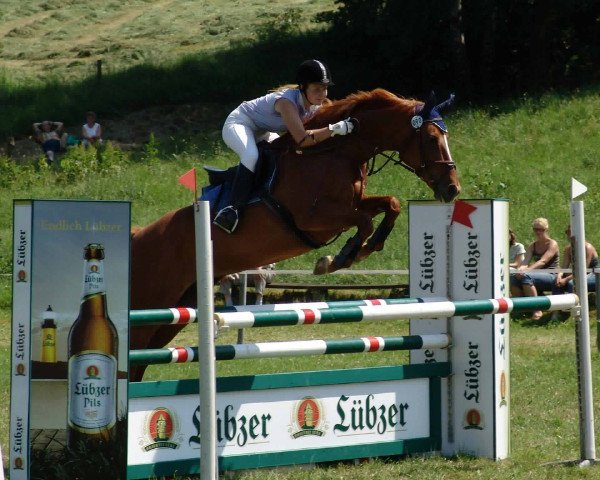 broodmare Grazy 7 (Hanoverian, 1993, from Pinkus) broodmare Grazy 7 (Hanoverian, 1993, from Pinkus)
