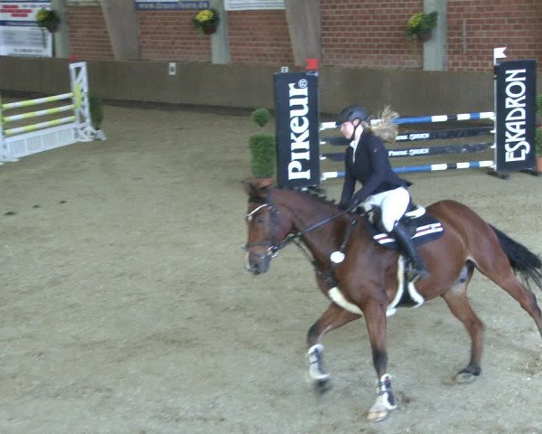 Reitturnier Hüllhorst 2019