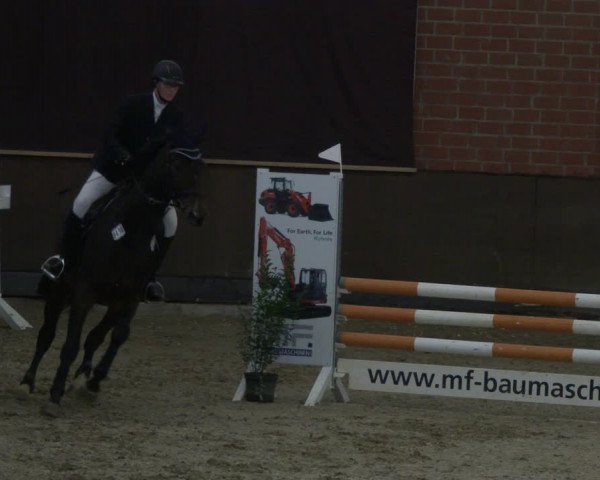 Reitturnier Hüllhorst 2019