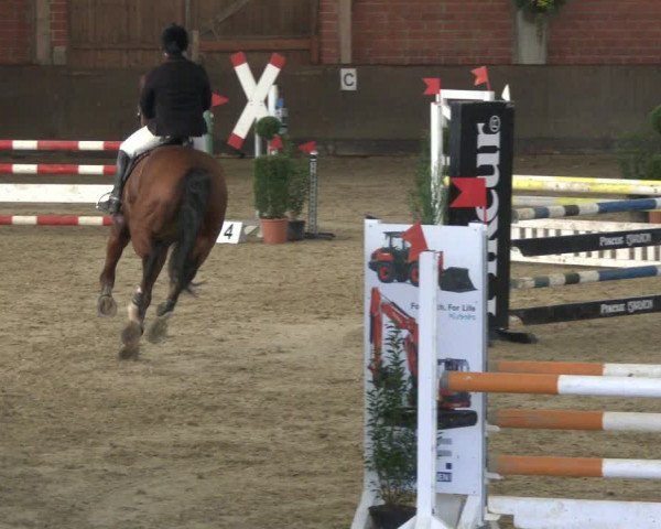 Reitturnier Hüllhorst 2019