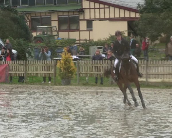 Reitturnier Schülp / Rendsburg 2019