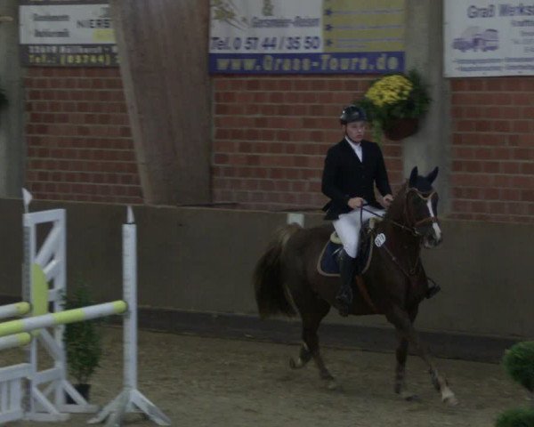 Reitturnier Hüllhorst 2019