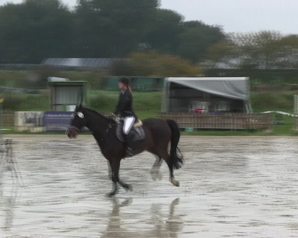 Reitturnier Schülp / Rendsburg 2019