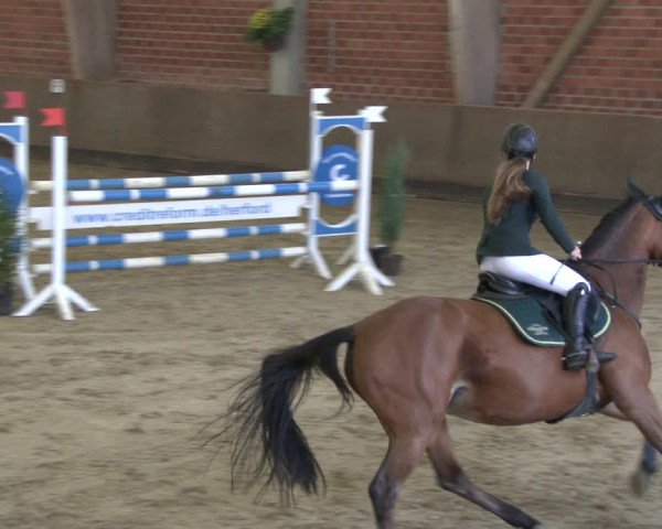 Reitturnier Hüllhorst 2019