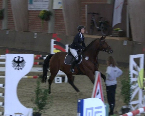 Reitturnier Hüllhorst 2019