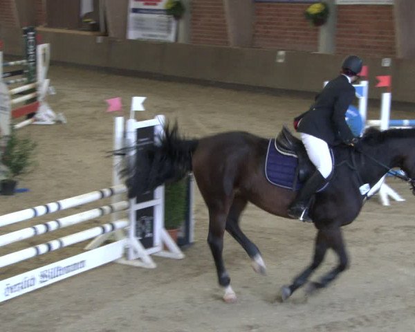 Reitturnier Hüllhorst 2019