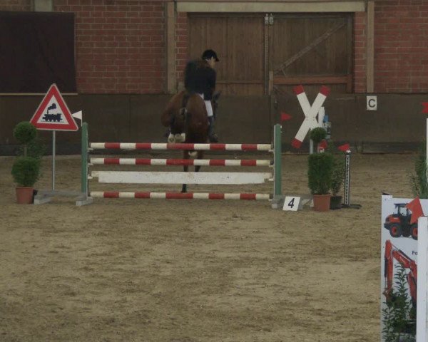 Reitturnier Hüllhorst 2019