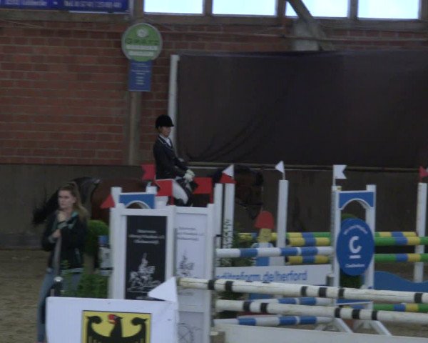 Reitturnier Hüllhorst 2019