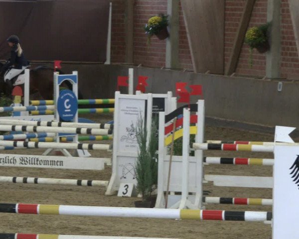 Reitturnier Hüllhorst 2019