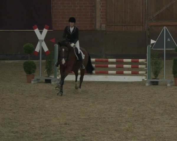 Reitturnier Hüllhorst 2019