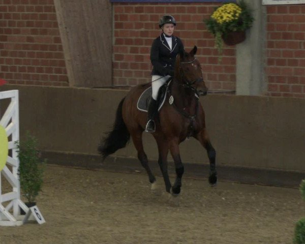 Reitturnier Hüllhorst 2019