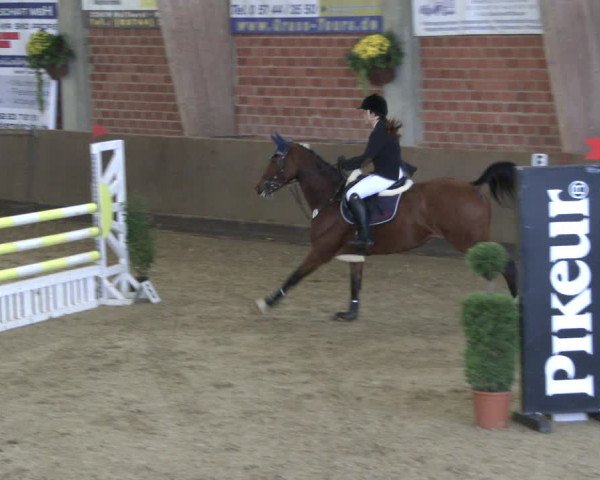 Reitturnier Hüllhorst 2019