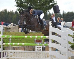 jumper Commandor (Holsteiner, 1998, from Contender)