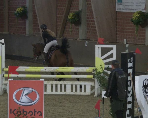 Reitturnier Hüllhorst 2019
