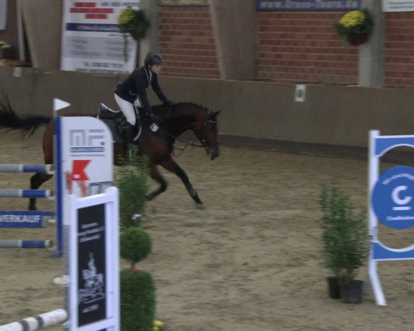 Reitturnier Hüllhorst 2019