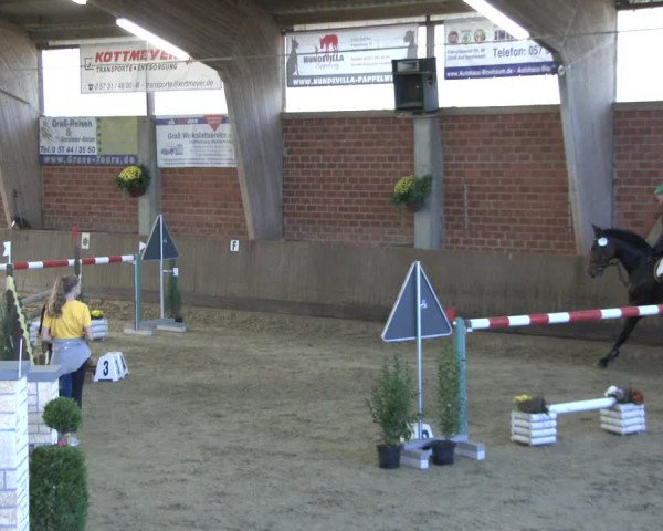 Reitturnier Hüllhorst 2019