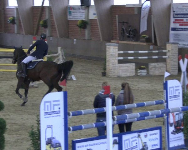 Reitturnier Hüllhorst 2019