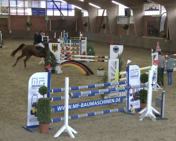 Reitturnier Hüllhorst 2019