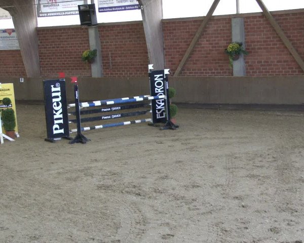 Reitturnier Hüllhorst 2019