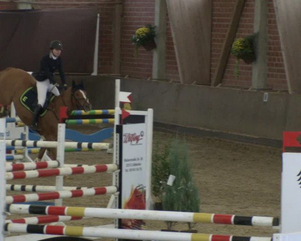 Reitturnier Hüllhorst 2019