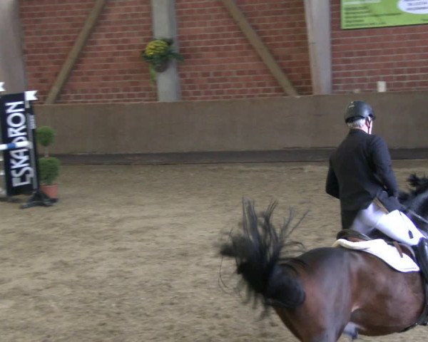 Reitturnier Hüllhorst 2019