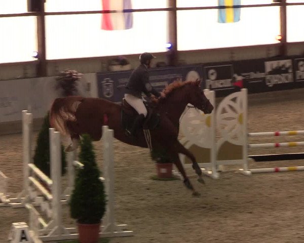 Nordic Jumping events 2019
