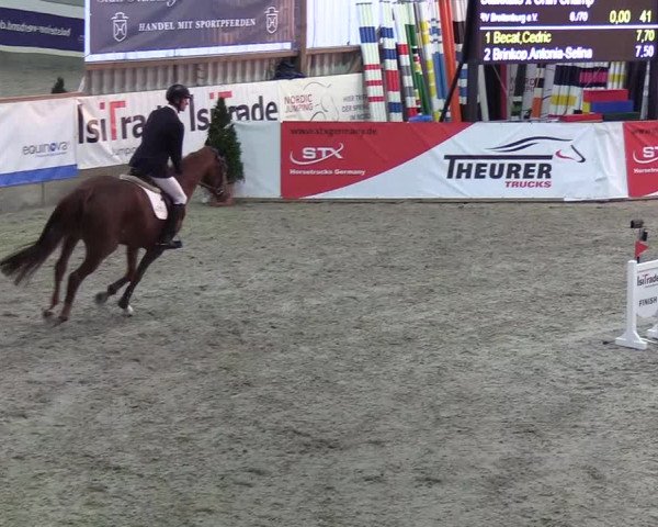 Nordic Jumping events 2019