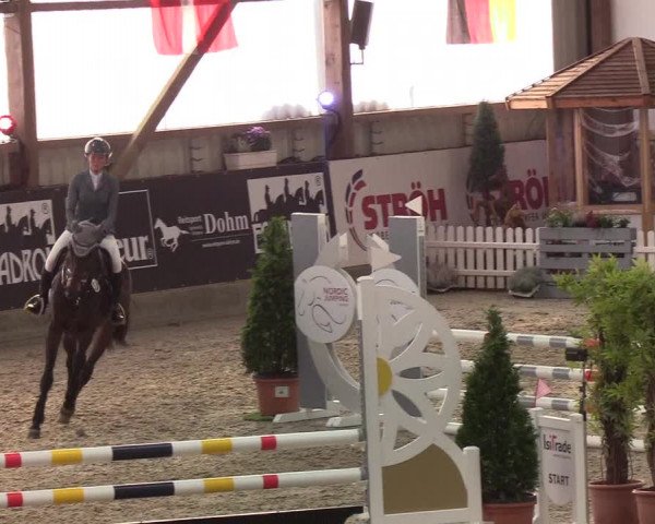 Nordic Jumping events 2019