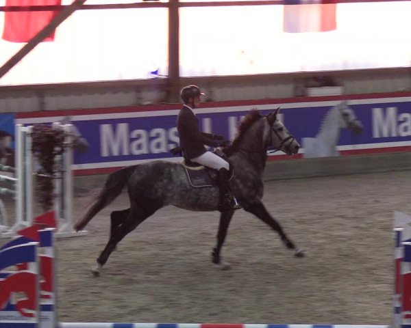 Nordic Jumping events 2019