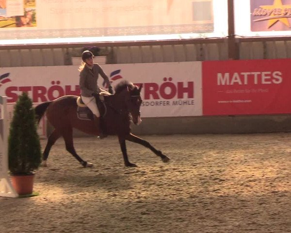 Nordic Jumping events 2019