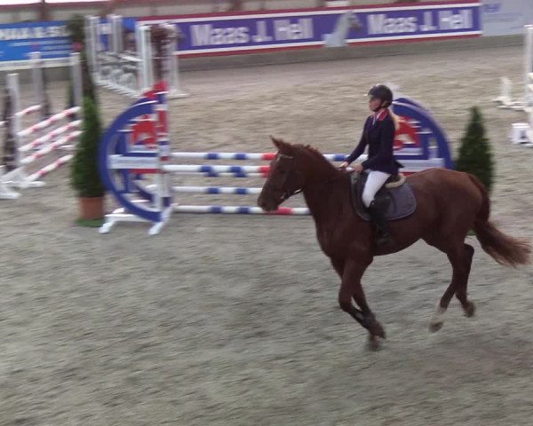 Nordic Jumping events 2019