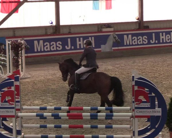 Nordic Jumping events 2019