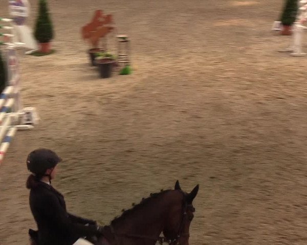 Nordic Jumping events 2019