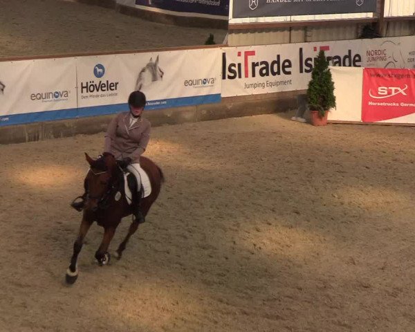 Nordic Jumping events 2019
