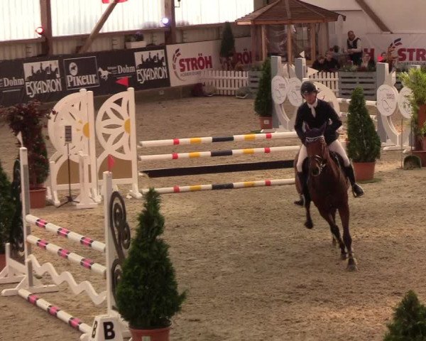 Nordic Jumping events 2019