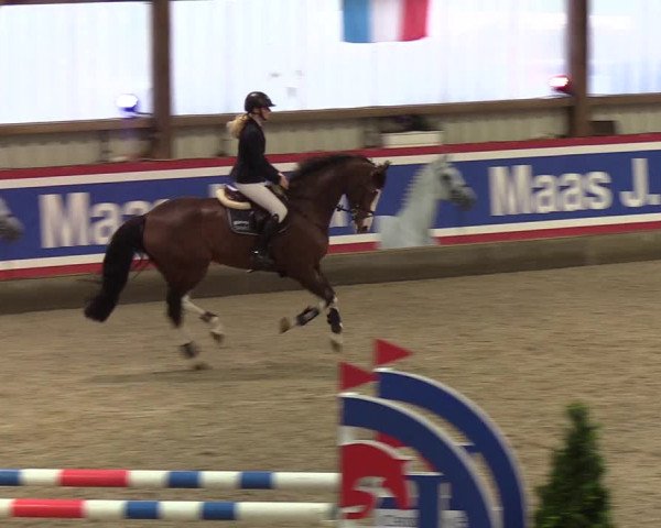 Nordic Jumping events 2019