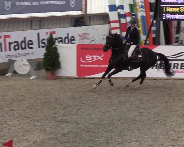 Nordic Jumping events 2019