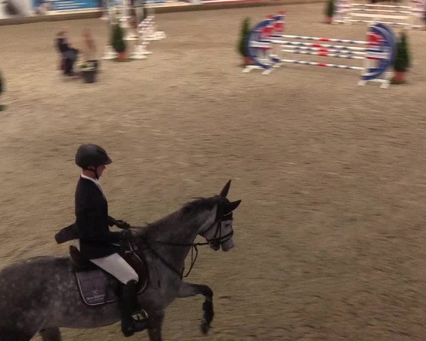 Nordic Jumping events 2019