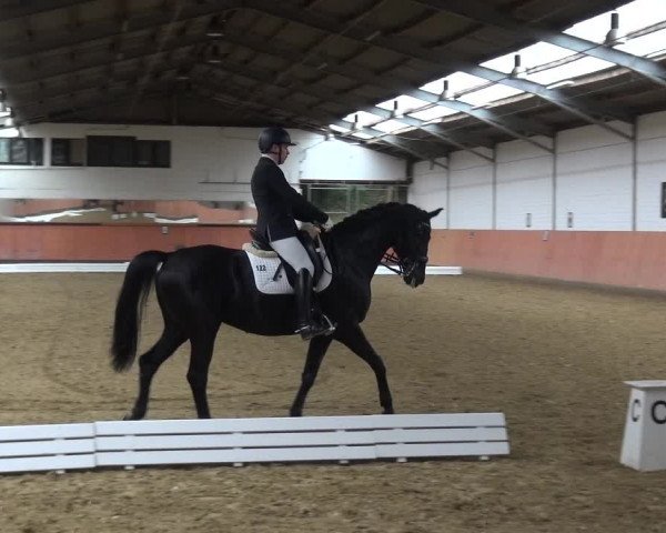 Reitturnier Ratingen-Hösel - Gut Gützenhof 2019