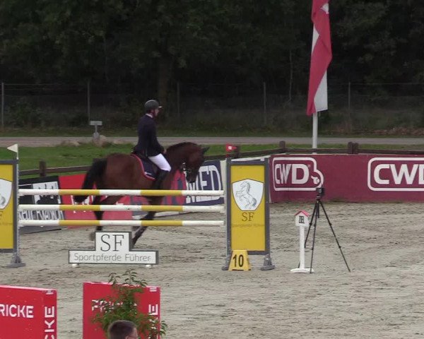 Reitturnier Westergellersen 2021