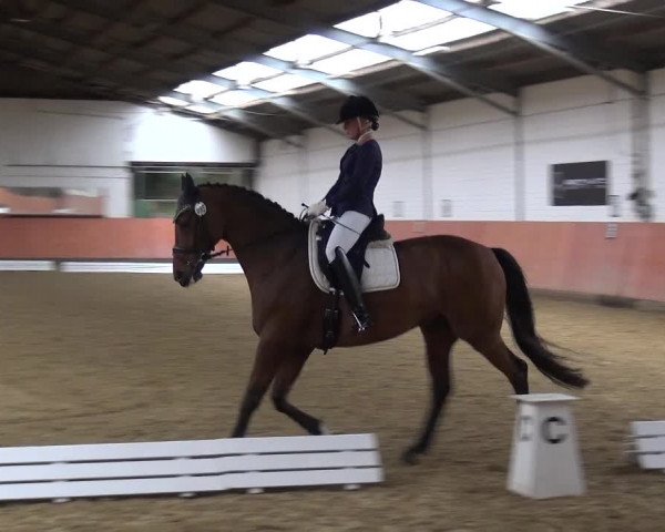 Reitturnier Ratingen-Hösel - Gut Gützenhof 2019