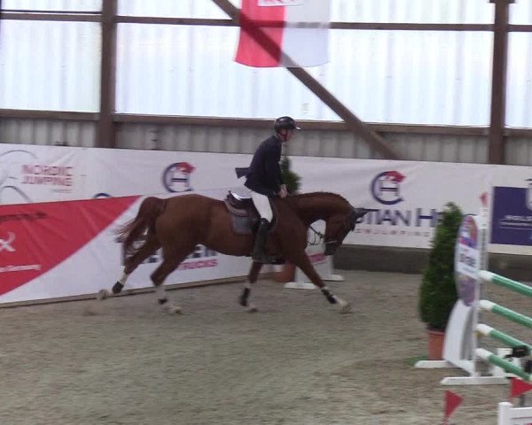 Nordic Jumping events 2019